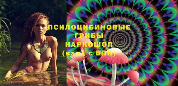 дживик Елизово