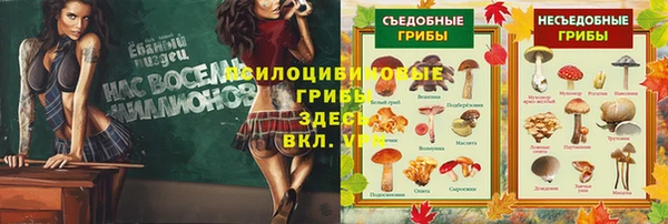 MDMA Елабуга