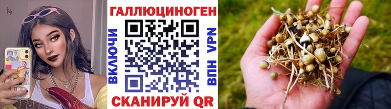 Галлюциногенные грибы Magic Shrooms  Купить где  Новоржев 
