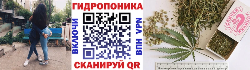 МАРИХУАНА план  Купить  Новоржев 